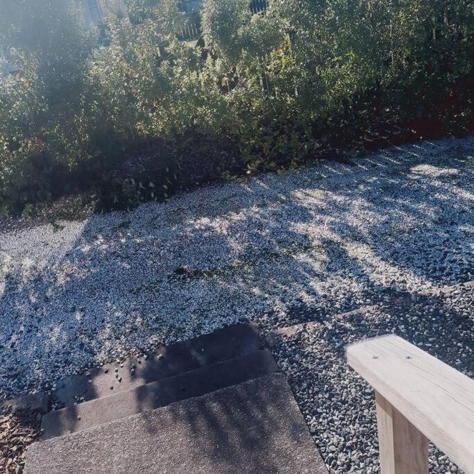 קאיקורה Cozycottage מראה חיצוני תמונה